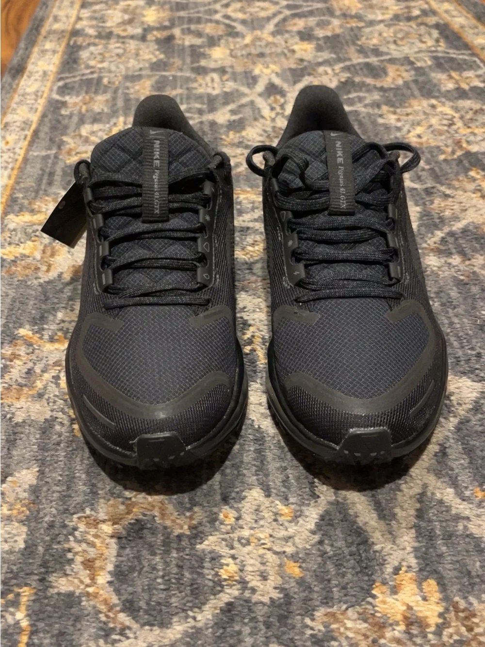 Women’s Nike air zoom Pegasus 41 GTX